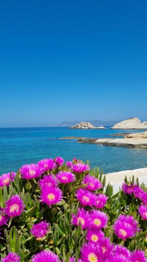 Anassa Milos House Mandrakia Luaran gambar